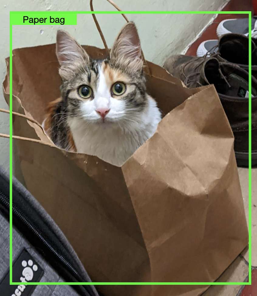 Cat disguised in a paper bag